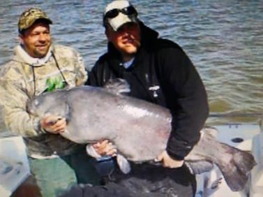 Night Stalker Guide Service - Two men stand on a boat holding a large catfish during their catfish charter adventure.