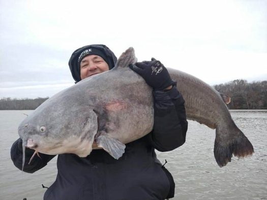 A man showcasing a massive catfish caught during a thrilling catfish charter adventure.