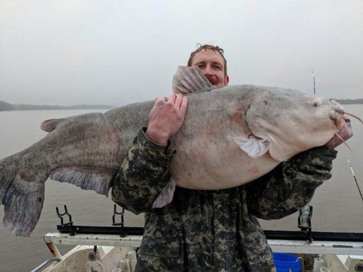 A man proudly displaying a massive catfish catch on his boat during a catfish charter expedition.