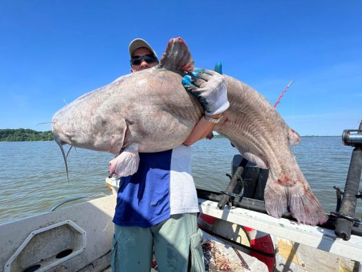 A man proudly holds a massive catfish on a boat during his thrilling catfish charter adventure.