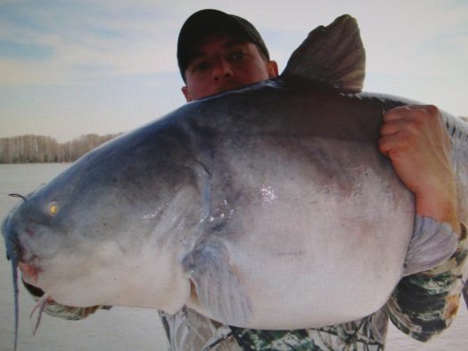 A man showcasing an impressive catfish catch.