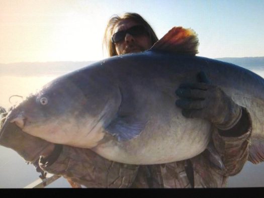 A man is proudly holding a large catfish in his arms, showcasing his impressive catch from a successful catfish charter expedition.