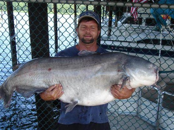 Captain Archie of Night Stalker Guide Service holding a trophy sized catfish